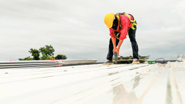 Best Sheet Metal Roofing  in Grand Haven, MI